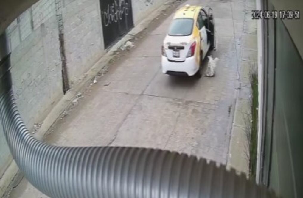 El taxista infractor prefirió pagar la multa económica en lugar de hacer servicio comunitario o pasar algunas horas de arresto | Captura de video