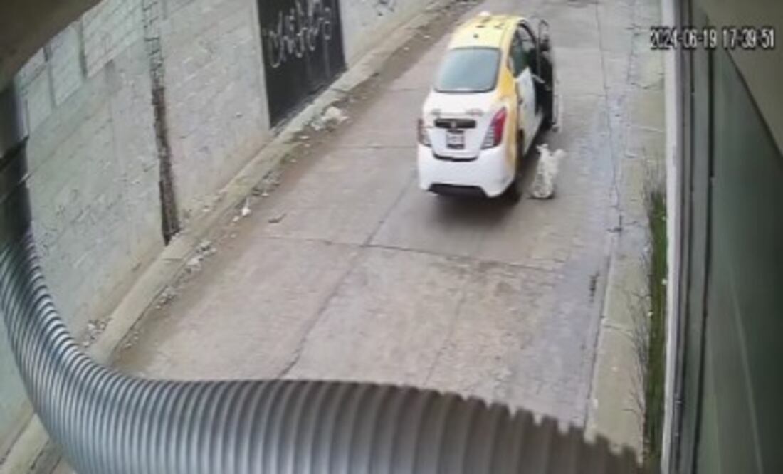 El taxista infractor prefirió pagar la multa económica en lugar de hacer servicio comunitario o pasar algunas horas de arresto | Captura de video