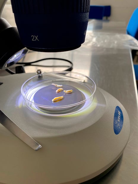 Foto: Archivo El Universal