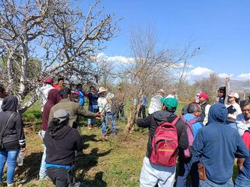 Productores de higo y granada en Ixmiquilpan reciben capacitación para mejorar cultivos