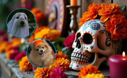 Real del Monte ilumina su espíritu con el “Kukur Tihar: Festival de las Luces”