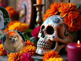 Real del Monte ilumina su espíritu con el “Kukur Tihar: Festival de las Luces”