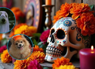 Real del Monte ilumina su espíritu con el “Kukur Tihar: Festival de las Luces”