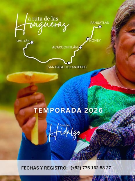Conservación y saberes tradicionales | Facebook: Hongos Hidalgo