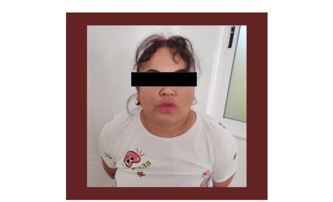 Nelly N, la mujer que el 24 de enero robó a un bebé en la ciudad de Pachuca, fue vinculada a proceso por el delito de desaparición de personas cometida por particulares.