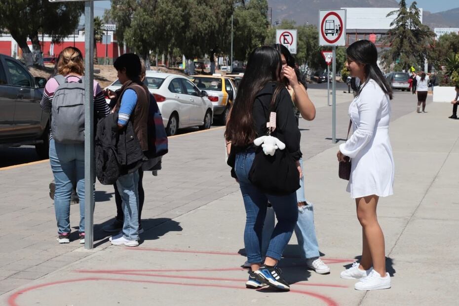 Avanzan campañas para renovar Consejo Estudiantil de la UAEH | Foto: Especial
