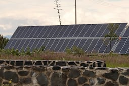 Pese a cancelación, continúa amparo contra parque solar