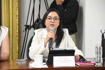 Veremos si Nueva Alianza está con la 4T para impedir doble salario: Cynthia Delgado