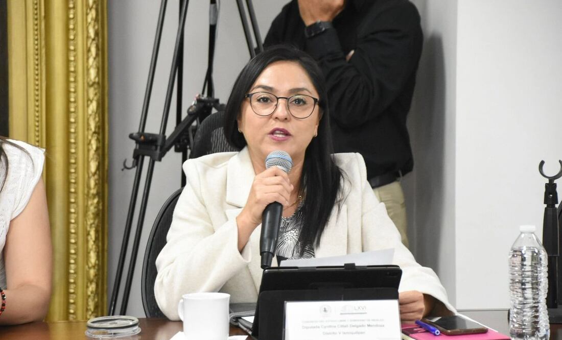 Diputada Cynthia Delgado I Foto: Congreso