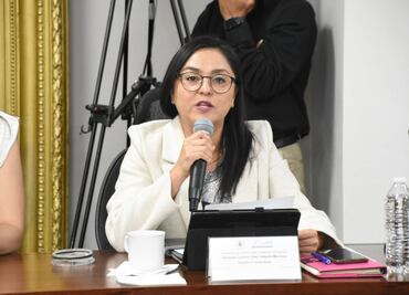 Veremos si Nueva Alianza está con la 4T para impedir doble salario: Cynthia Delgado