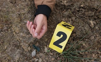 Mineral de la Reforma registra aumento en homicidios, robos y delitos sexuales en 2025