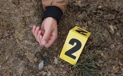 Mineral de la Reforma registra aumento en homicidios, robos y delitos sexuales en 2025