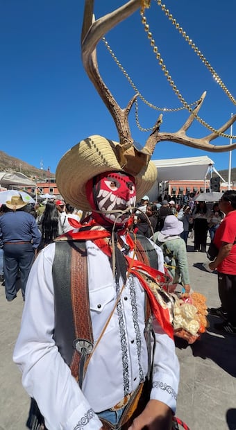 Entre cuernos y máscaras | Captura de video