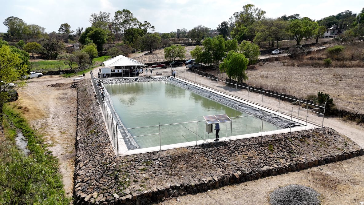 Foto: Agricultura Hidalgo