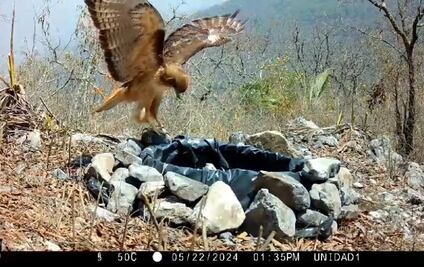 Brigadas comunitarias instalan bebederos Parque Los Mármoles