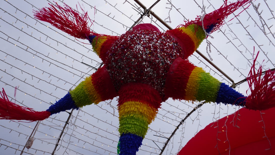 Entre pinos y tradición, arbolitos naturales desde mil pesos en Pachuca | Foto: Cinthya Carbajal