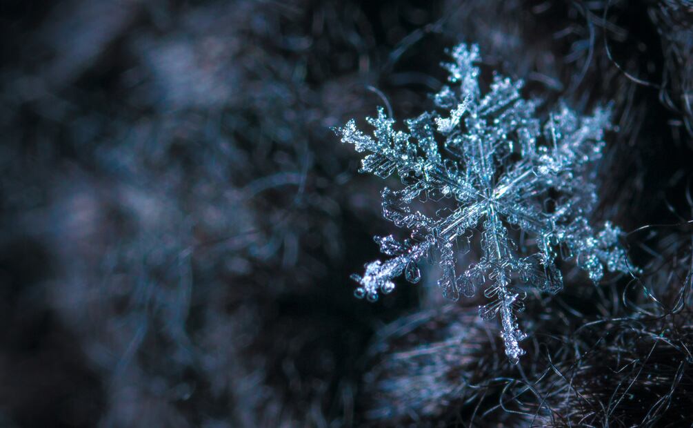 Temporada invernal: ¿Conoce cuándo se acaba el frío? | Foto: Pexels