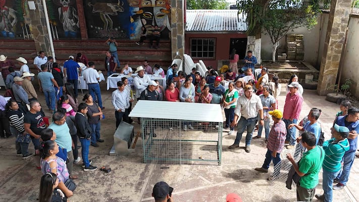 Entregan apoyos a productores de ocho municipios