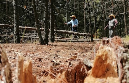 Pierden campesinos ganancias por la sequía en Tulancingo