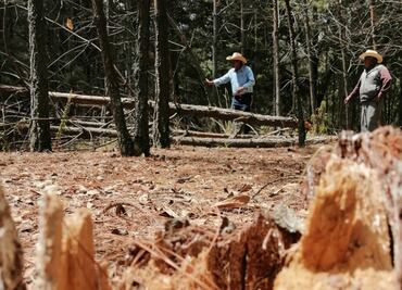 Pierden campesinos ganancias por la sequía en Tulancingo
