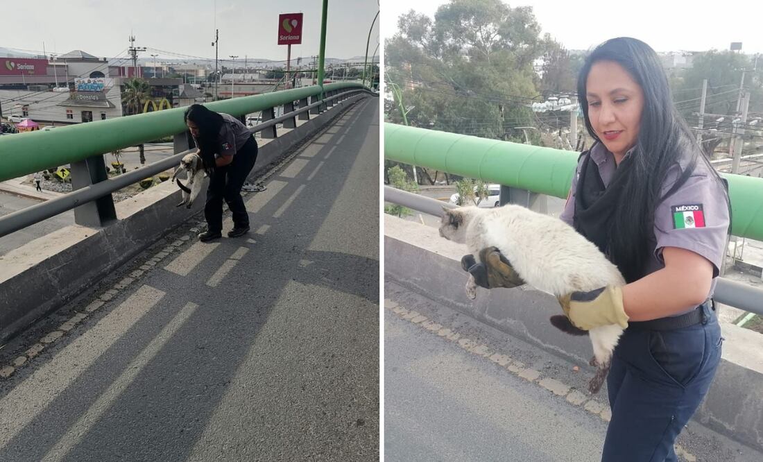 Facebook: Dir. PC, Bomberos y GIR Pachuca