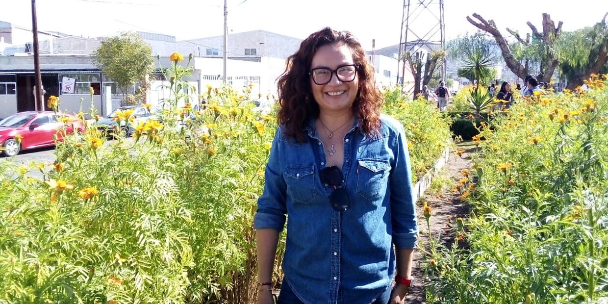 Por segundo año consecutivo se logró la siembra y cosecha de más de una tonelada de la flor de cempasúchil en el huerto urbano de Pachuca Foto: Arturo Torres