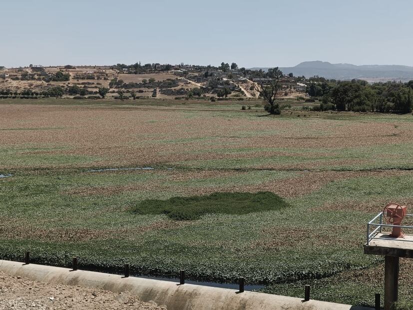 Disminuyen cuerpos de agua en el Valle de Tulancingo | Foto: Grisel Lira
