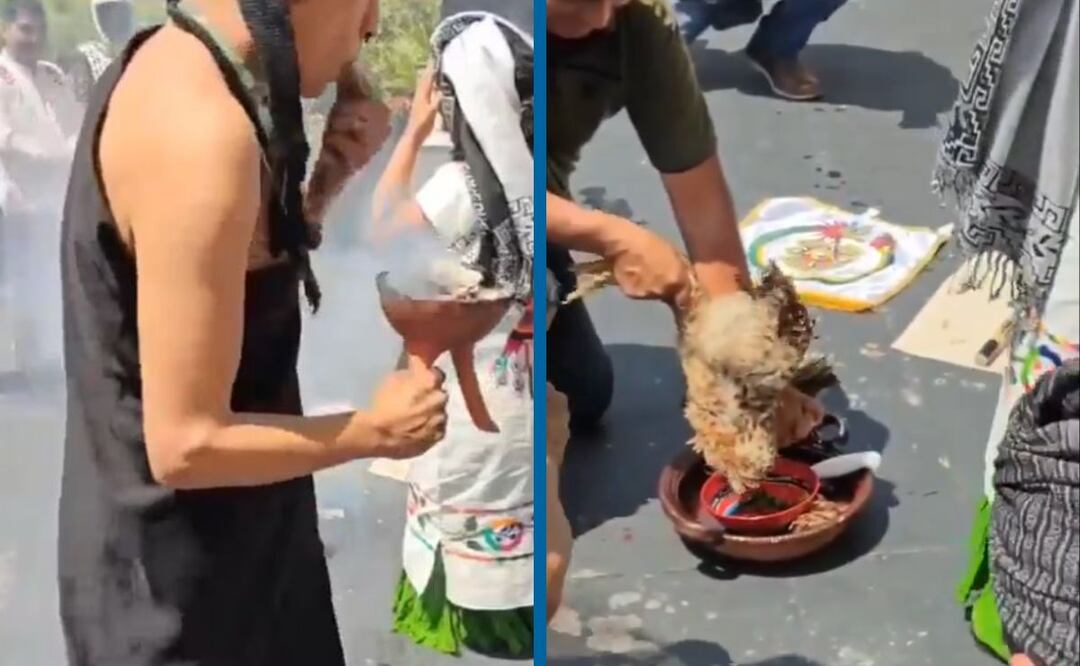 Sacrificio de gallinas en el Senado en Ofrenda por el Día de la Tierra | Capturas de videos