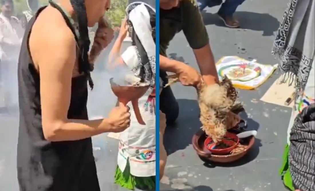 Sacrificio de gallinas en el Senado en Ofrenda por el Día de la Tierra | Capturas de videos