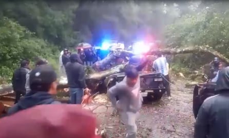 Caída de árbol deja dos adultos sin vida y dos menores heridos en Acaxochitlán