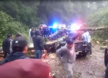 Caída de árbol deja dos adultos sin vida y dos menores heridos en Acaxochitlán