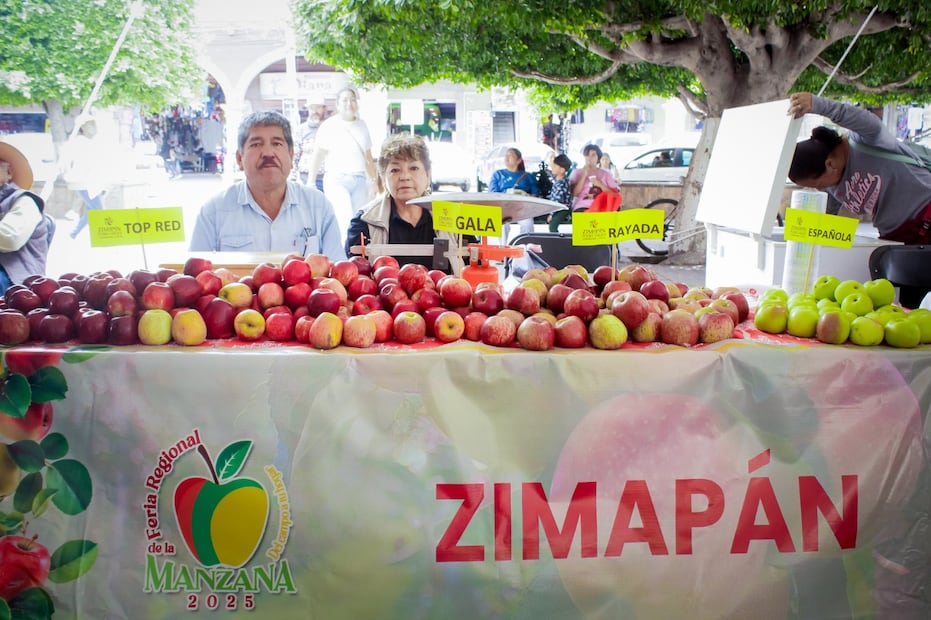 Capacitarán a productores en cultivo de manzana en Ixmiquilpan | Foto: especial