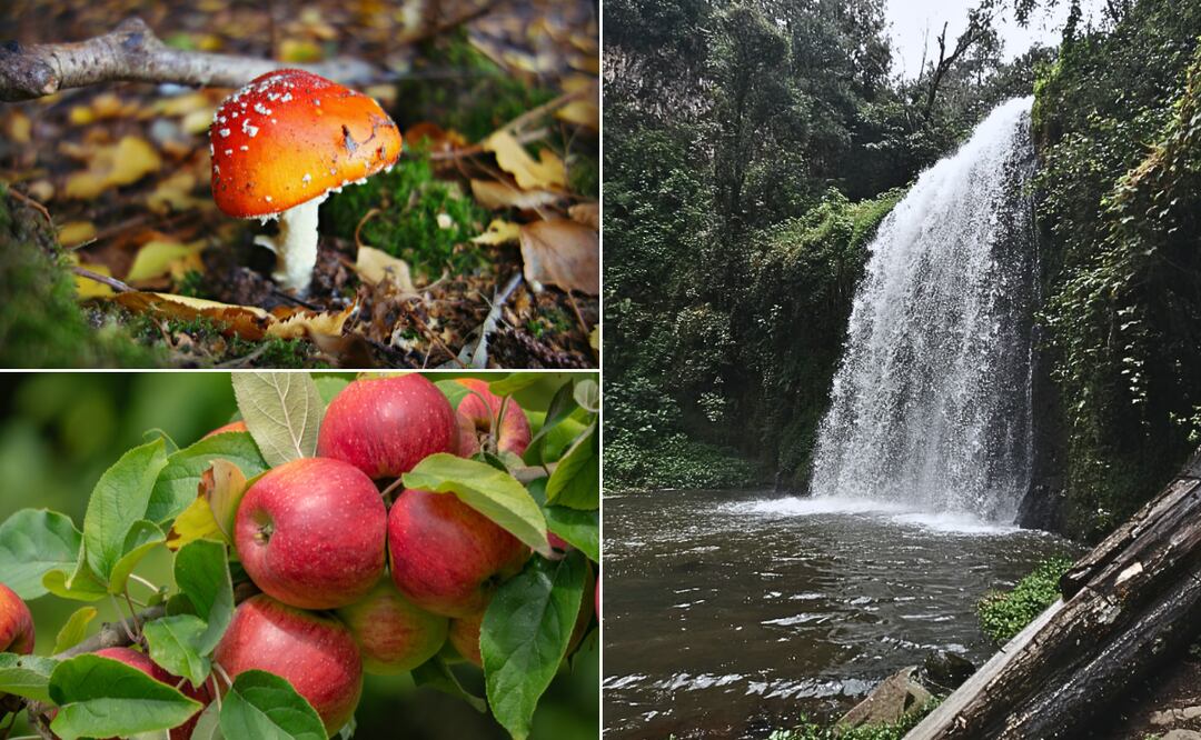 Imágenes ilustrativas