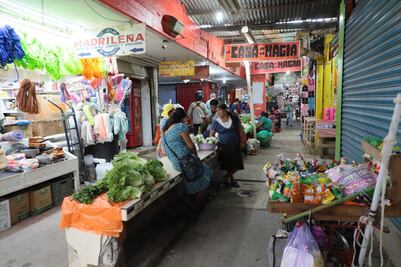 Desabasto de cacao en la Huasteca provoca incremento en el precio 