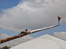 Tras más de seis horas de competencia, definen a los ganadores de la tradicional Cucaña de Santiago Tulantepec