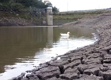 Sequía en Hidalgo pasa de severa a extrema: Conagua