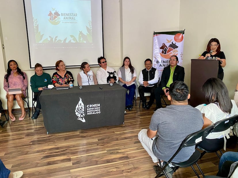 Activistas rechazan consulta sobre tauromaquia y advierten acciones legales en Hidalgo | Foto: Luis Soriano