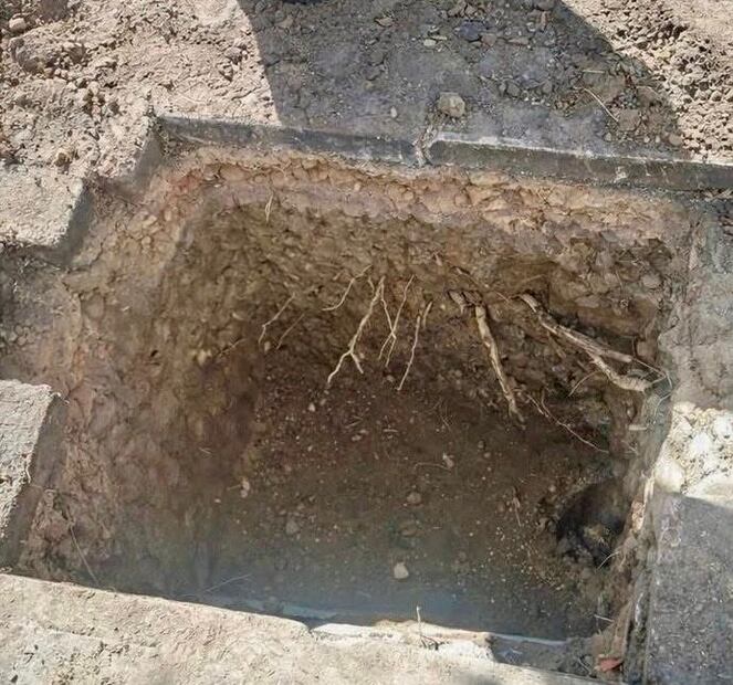 Hallan restos óseos durante obras en avenida Madero | Foto: especial