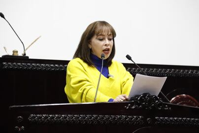 Proponen la creación del Instituto Hidalguense de Atención a Personas con Discapacidad