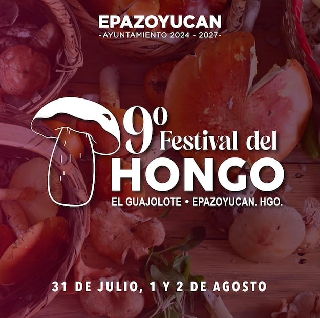 Hongos, naturaleza y gastronomía en un solo lugar | Cortesía: Turismo Hidalgo