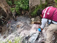 Clausuran drenaje municipal por descargas contaminantes al río Tepeji