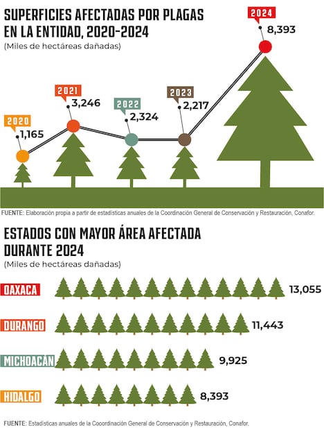 Diseño: Octavio Ornelas