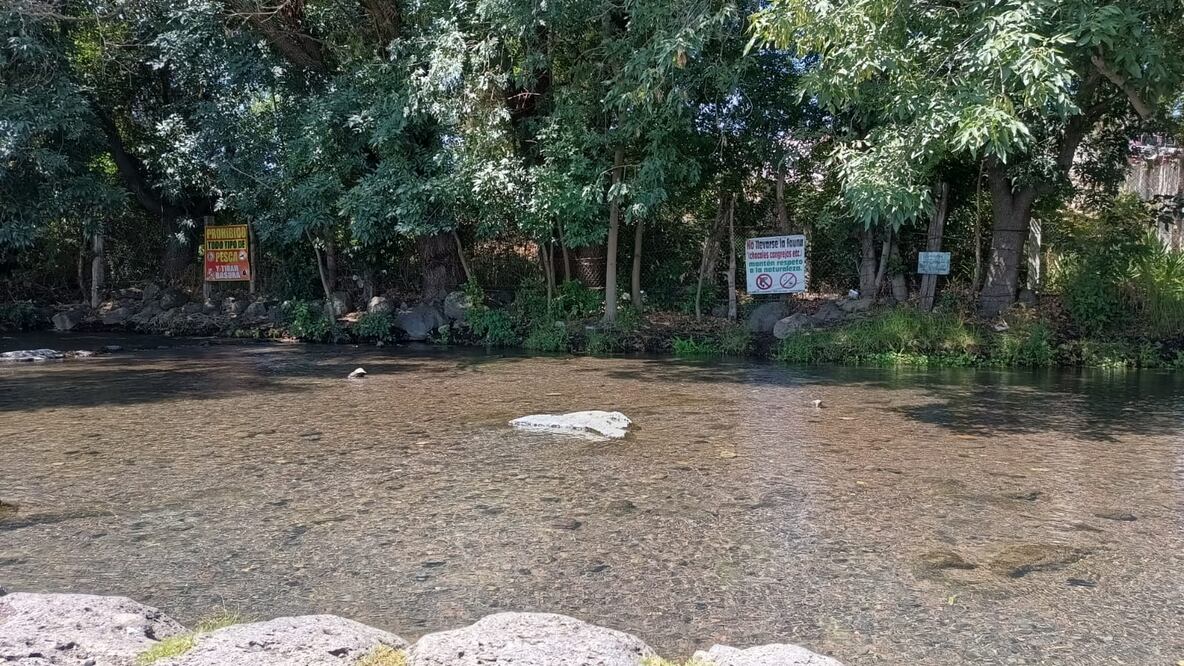 Galván Ávila expresó que dicha actividad representa el interés de la sociedad civil por cuidar los recursos naturales, como un acto de responsabilidad social.
Foto: Grisel Lira