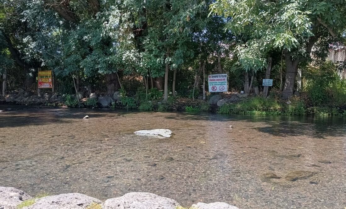 Galván Ávila expresó que dicha actividad representa el interés de la sociedad civil por cuidar los recursos naturales, como un acto de responsabilidad social.
 Foto: Grisel Lira