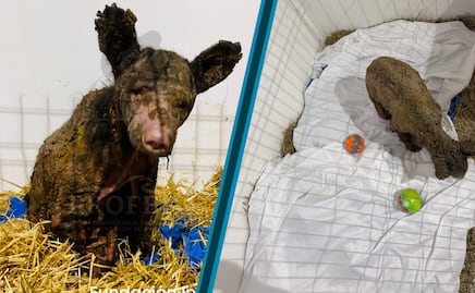 Osa Mina muestra avances notables tras 52 días de rehabilitación en la Fundación Invictus