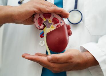 Diputada denuncia insuficiencia de recursos para trasplantes en Hidalgo