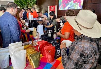 Congreso de Hidalgo declara el 1 de octubre como Día de la Cafeticultora y del Cafeticultor Hidalguense