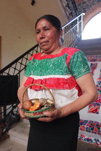 Cosecha de hongos este año es difícil en Acaxochitlán | Foto: Especial