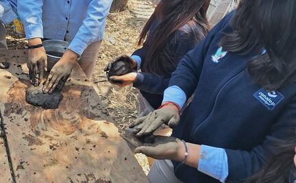 Conalep Tizayuca apoyará a bosques afectados por incendios en Hidalgo