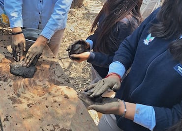 Conalep Tizayuca apoyará a bosques afectados por incendios en Hidalgo